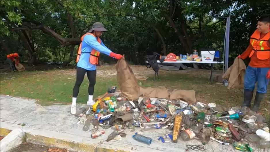 Brigada Universitaria